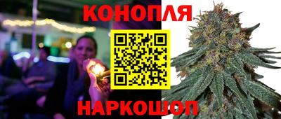 индика Будённовск