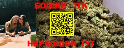 индика Будённовск