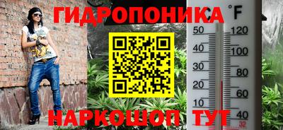 индика Будённовск