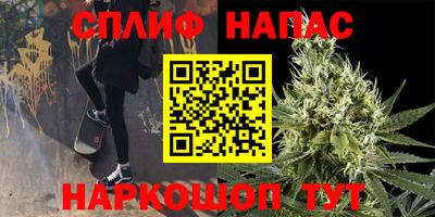 индика Будённовск