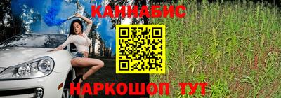 индика Будённовск
