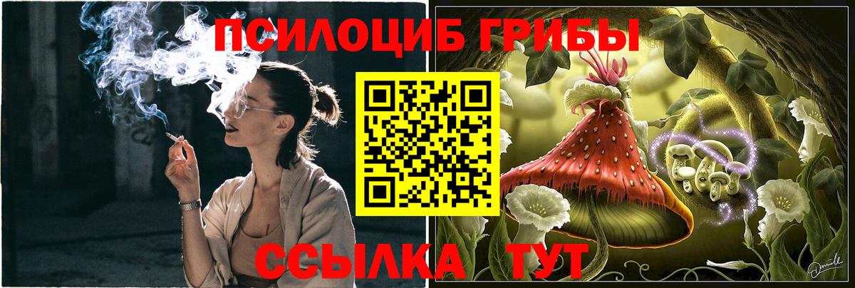Галлюциногенные грибы Psilocybine cubensis Щёкино