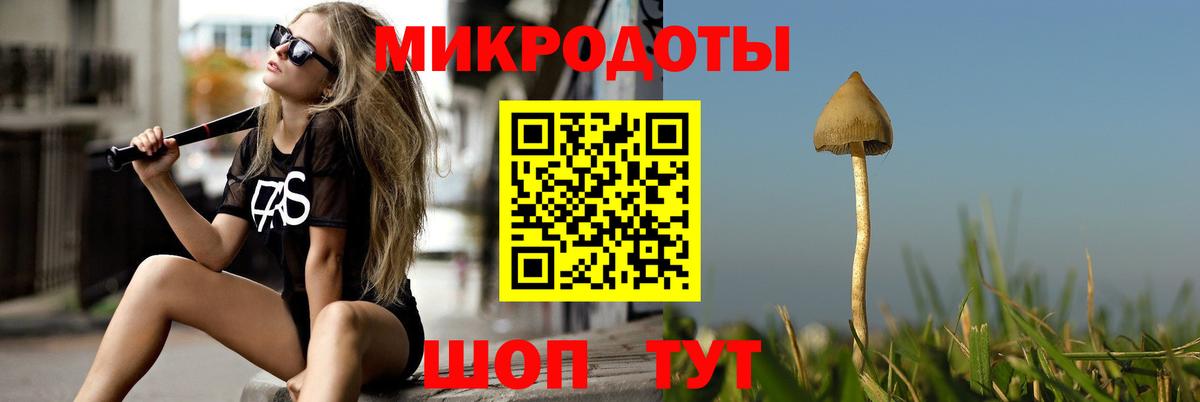 Псилоцибиновые грибы MAGIC MUSHROOMS  Галлюциногенные грибы ЛСД  Щёкино  Вход с VPN 